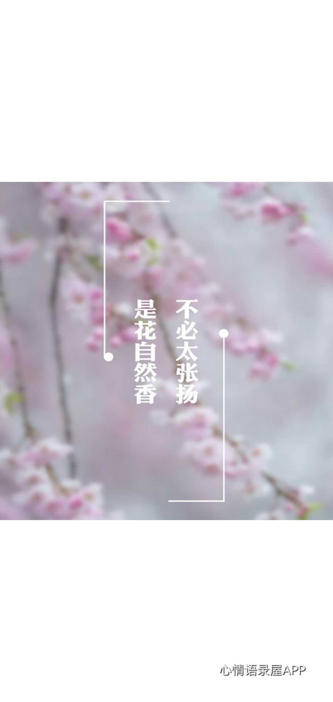 https://www.58100.com/index/detail/763628