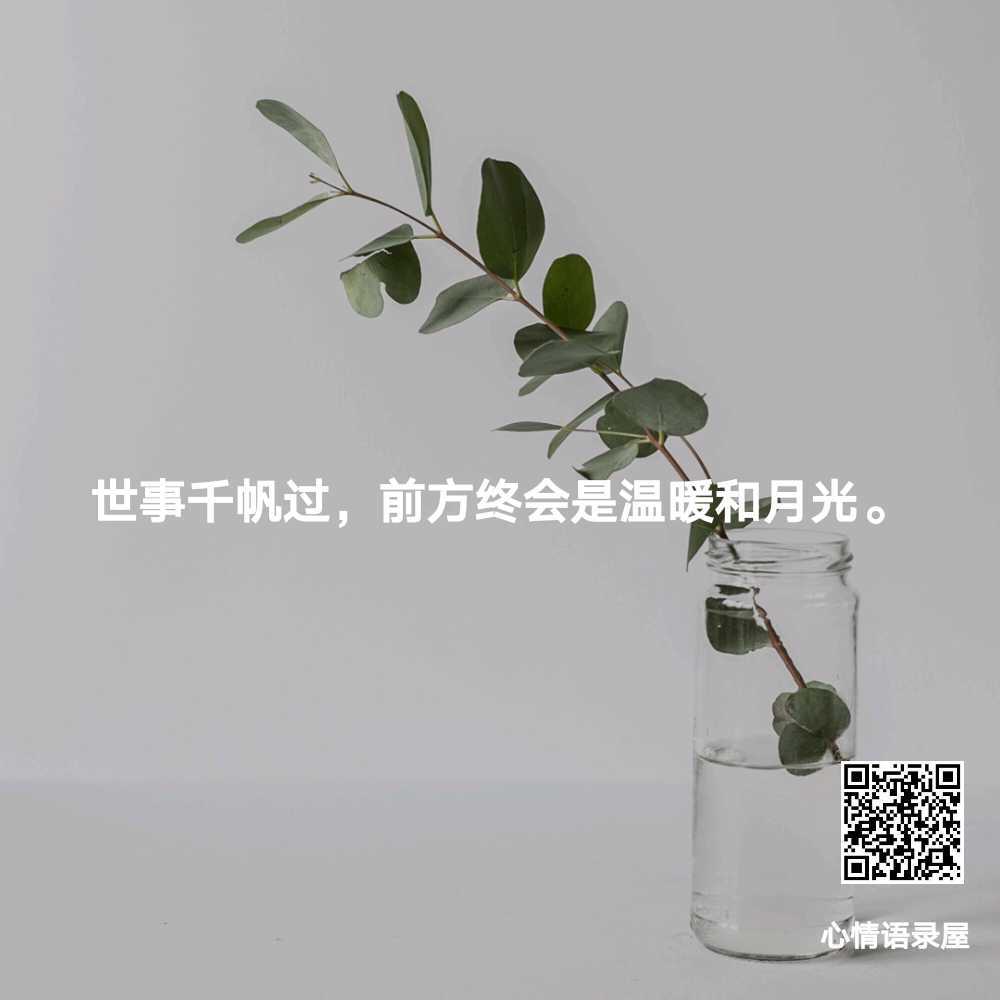 https://www.58100.com/index/detail/763740