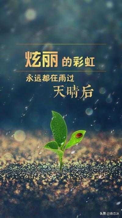 https://www.58100.com/index/detail/764008