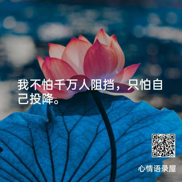 https://www.58100.com/index/detail/764066
