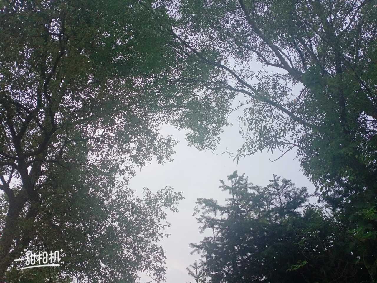 https://www.58100.com/index/detail/764185