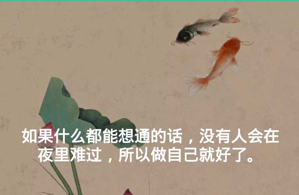 https://www.58100.com/index/detail/764186