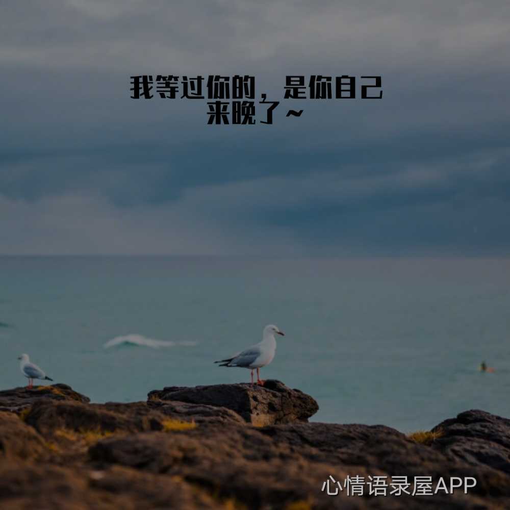 https://www.58100.com/index/detail/764422