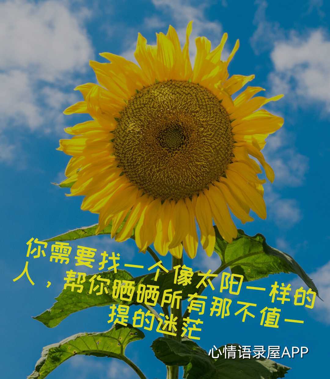 https://www.58100.com/index/detail/764501