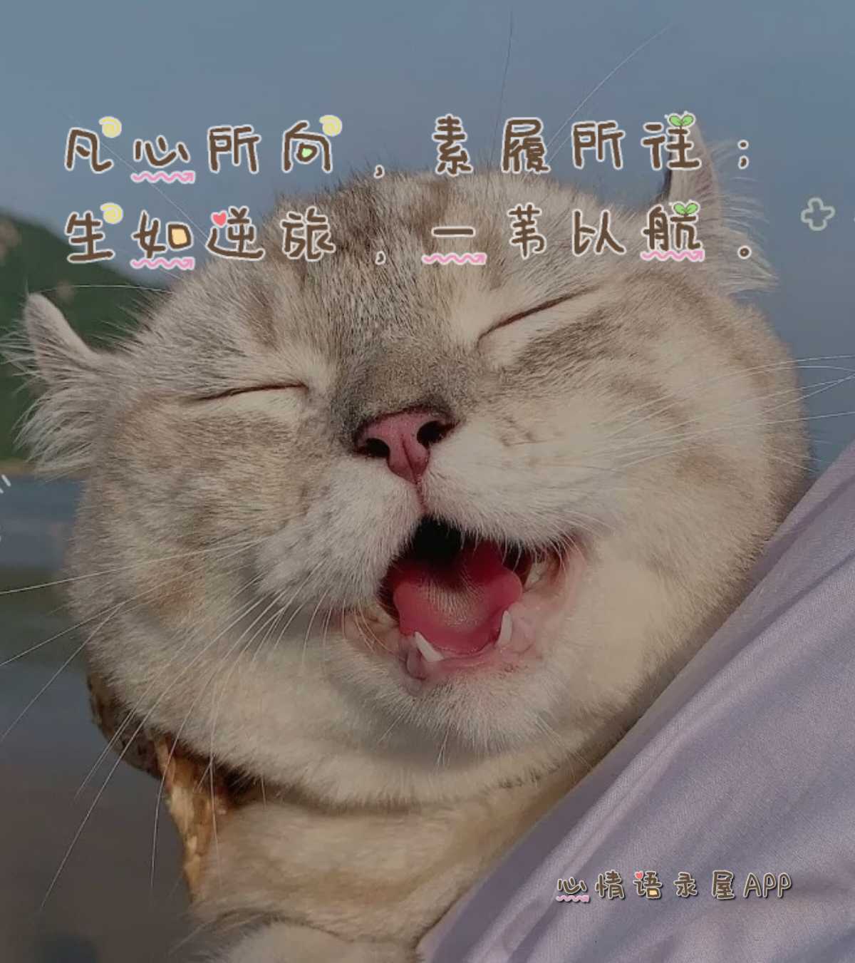 https://www.58100.com/index/detail/764625