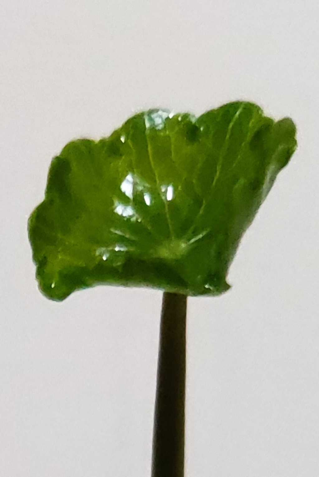 https://www.58100.com/index/detail/764645