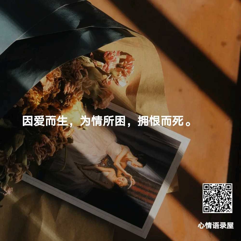 https://www.58100.com/index/detail/764984