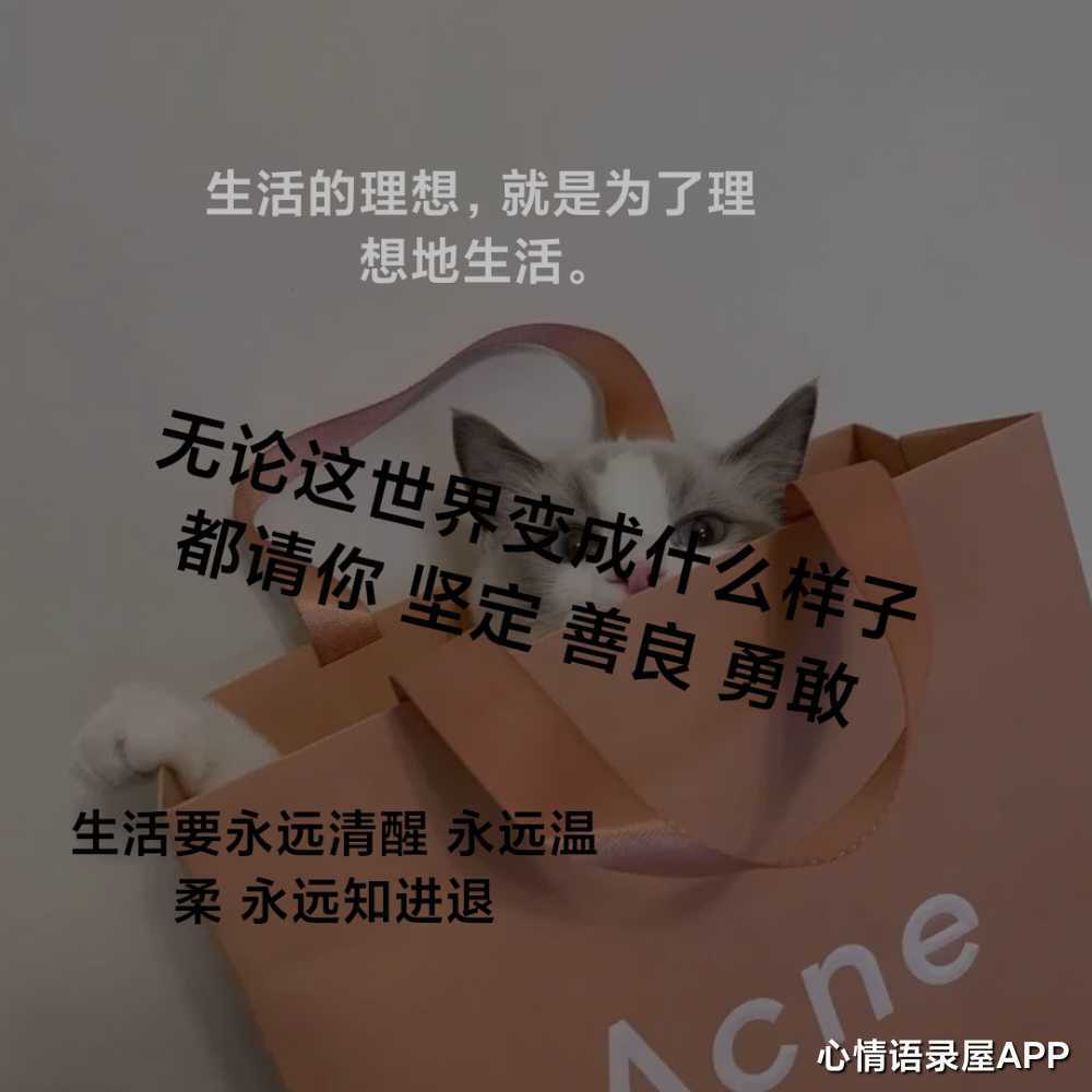 https://www.58100.com/index/detail/765083