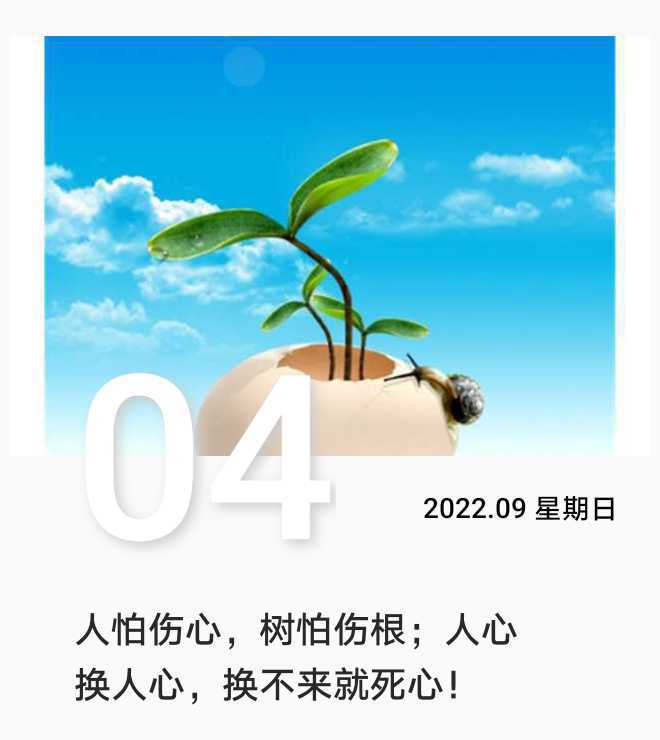 https://www.58100.com/index/detail/765360