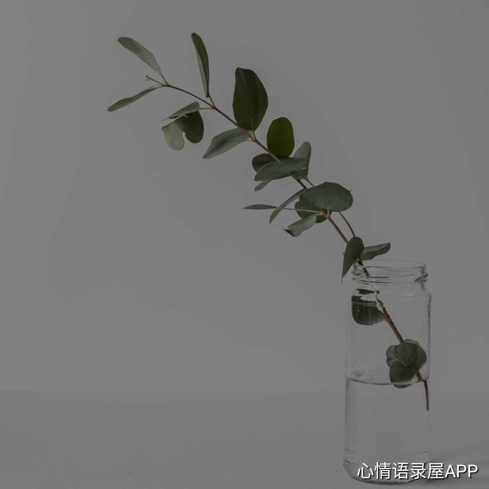 https://www.58100.com/index/detail/765420