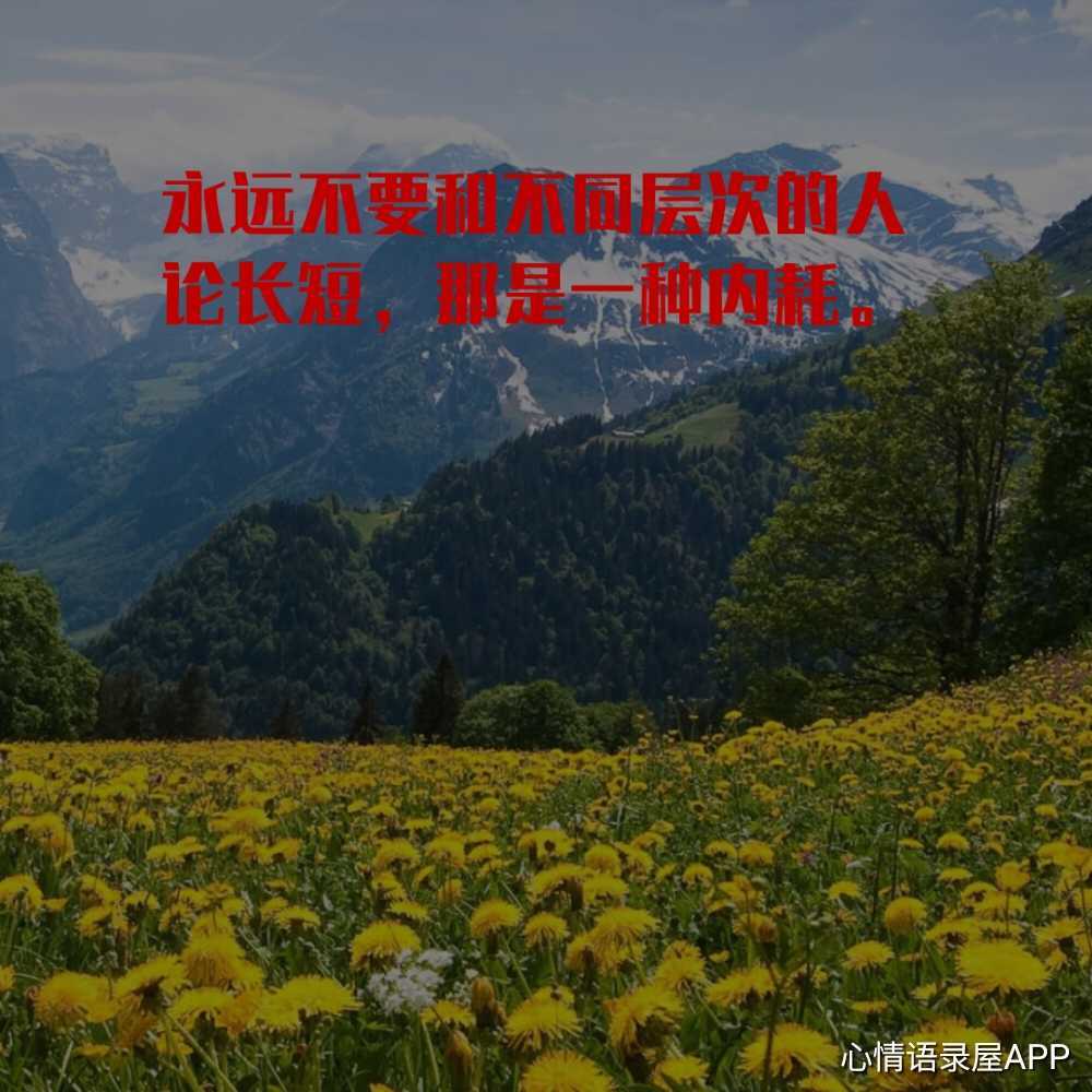 https://www.58100.com/index/detail/765517