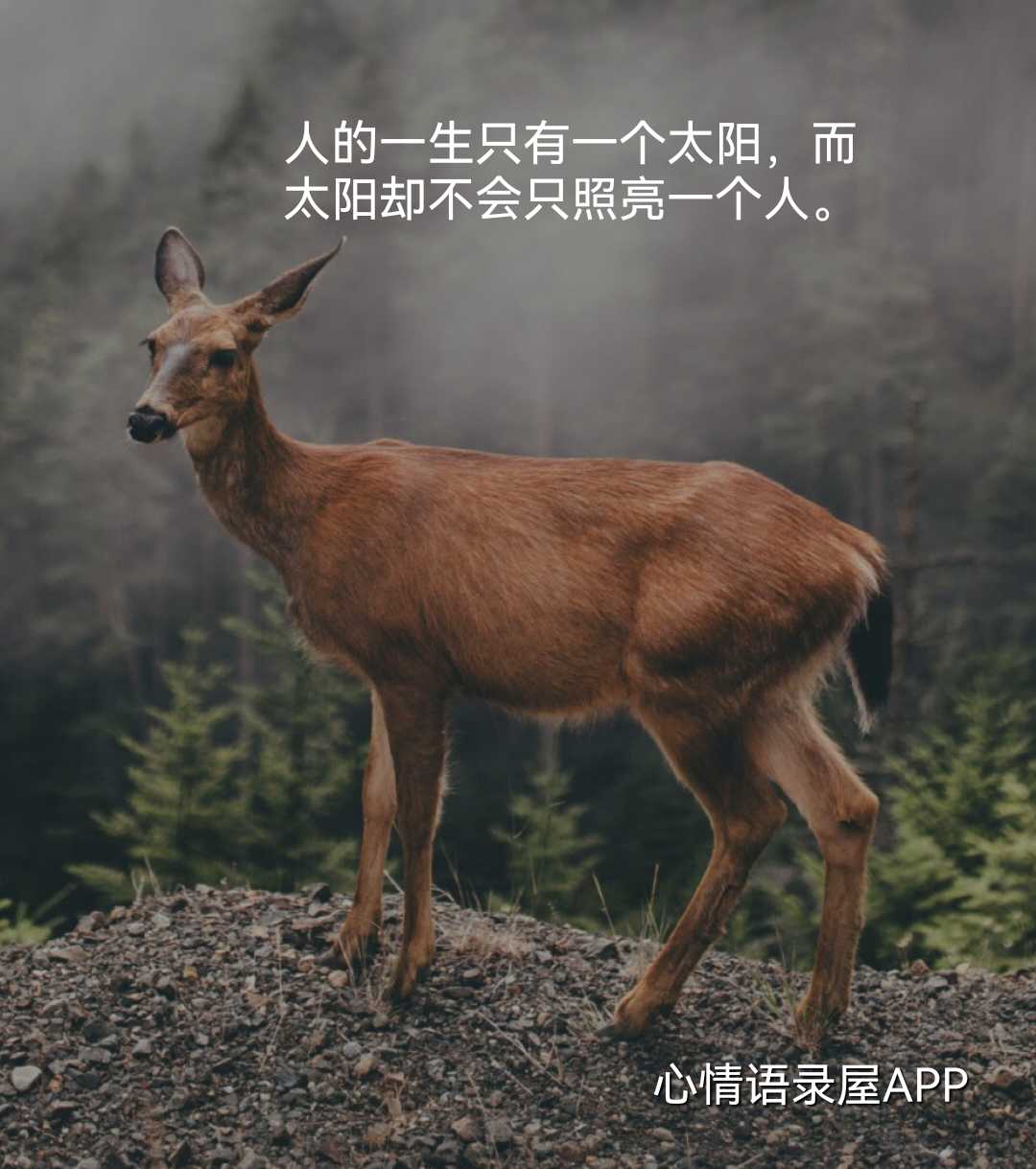 https://www.58100.com/index/detail/765941