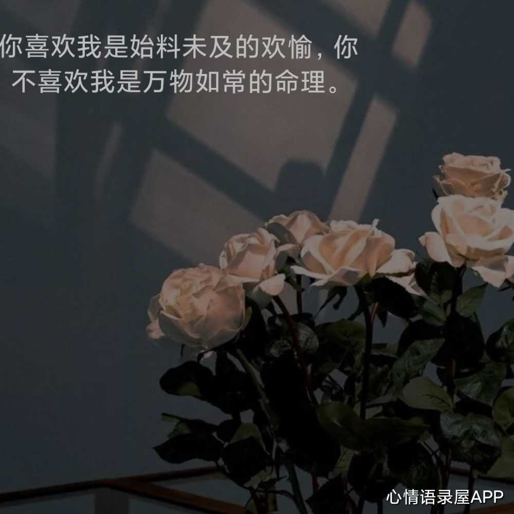 https://www.58100.com/index/detail/765976