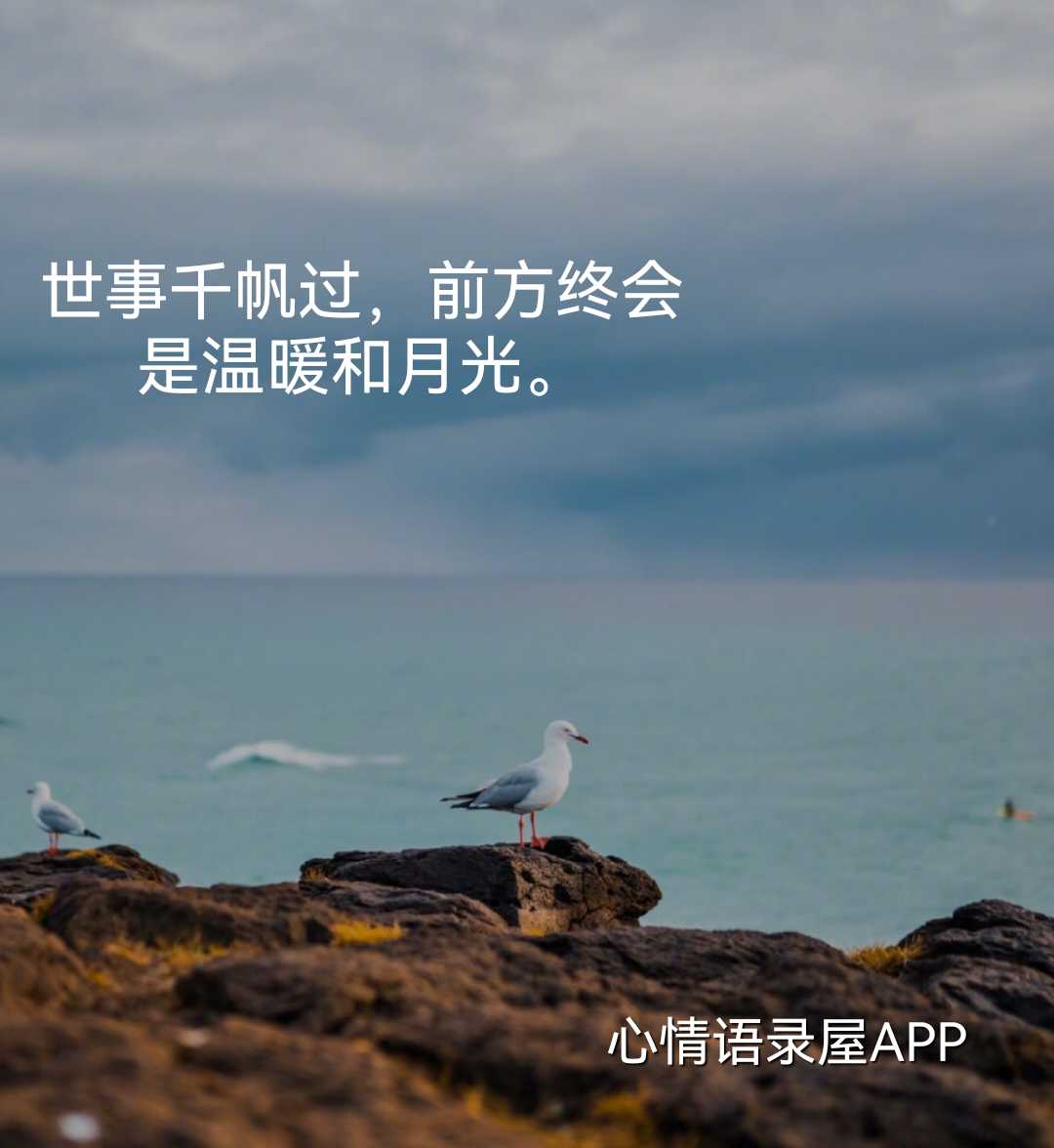 https://www.58100.com/index/detail/765978