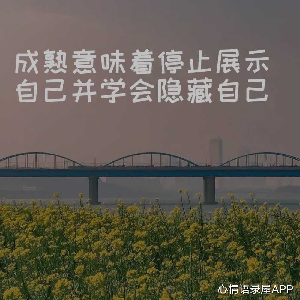 https://www.58100.com/index/detail/766146