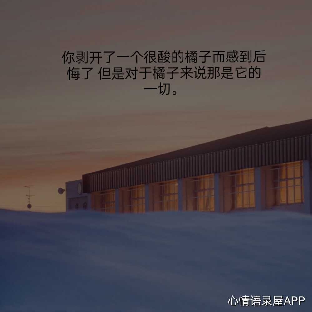 https://www.58100.com/index/detail/766212
