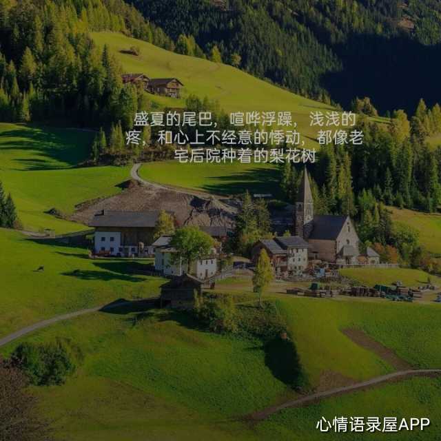 https://www.58100.com/index/detail/766247