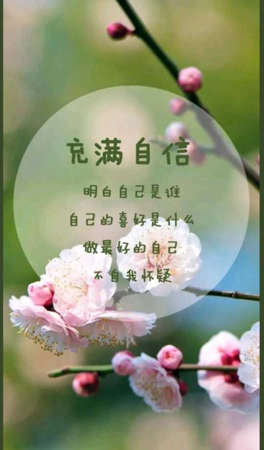 https://www.58100.com/index/detail/766381