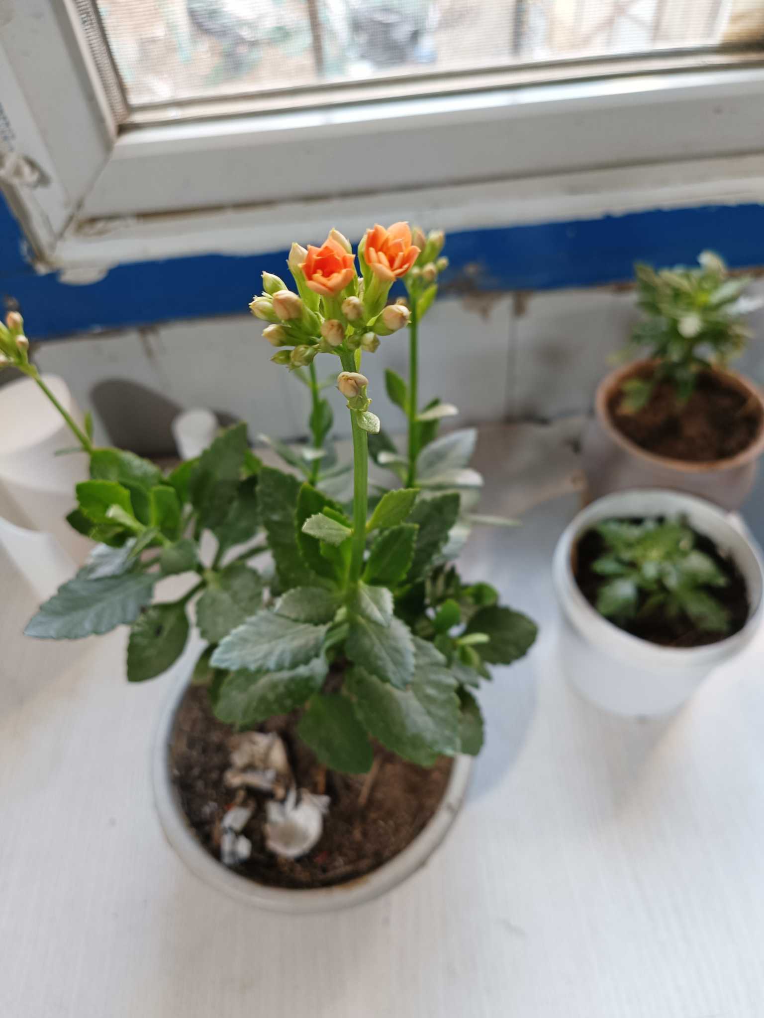 https://www.58100.com/index/detail/766916