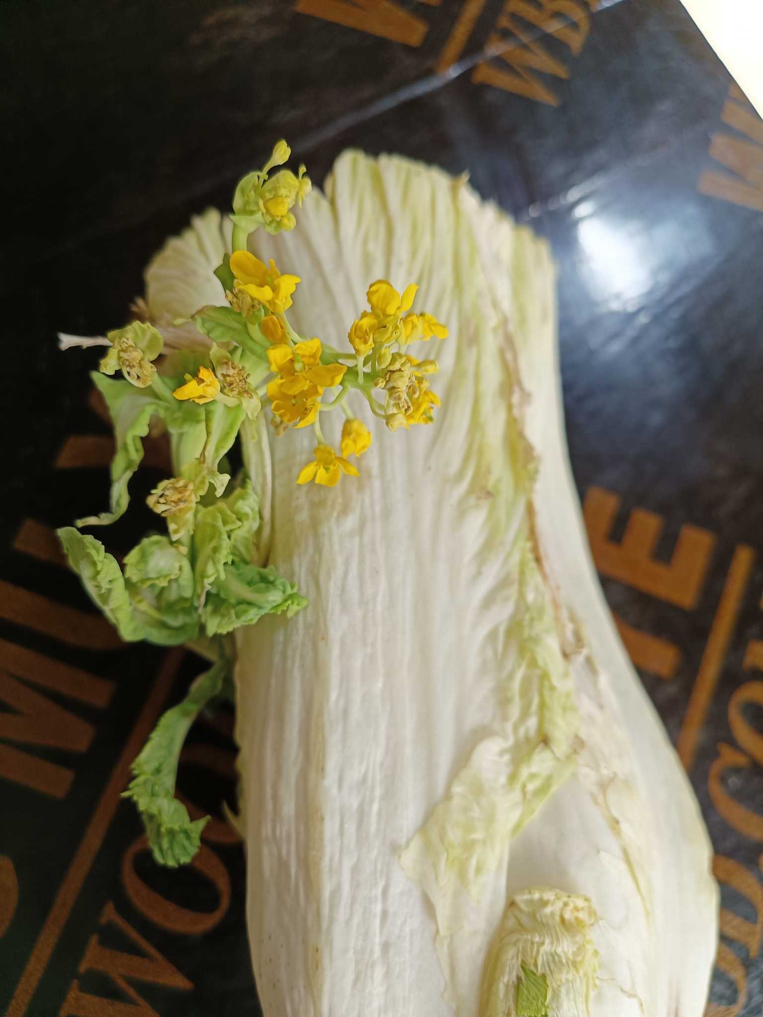 https://www.58100.com/index/detail/767030