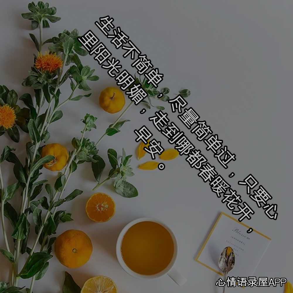 https://www.58100.com/index/detail/767059