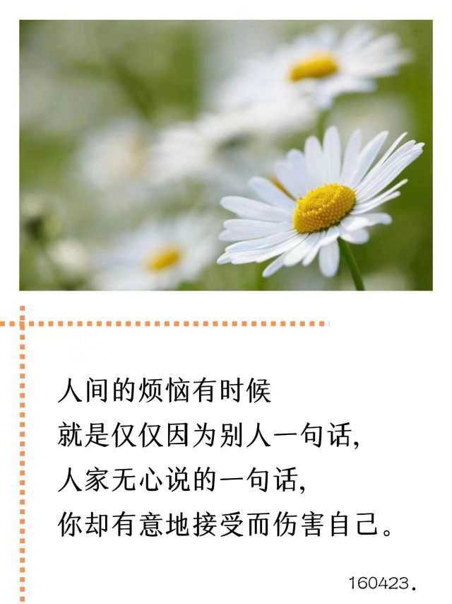 https://www.58100.com/index/detail/767190