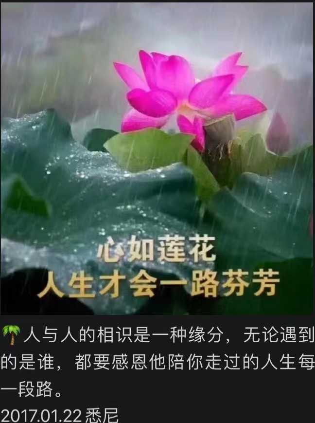 https://www.58100.com/index/detail/767268