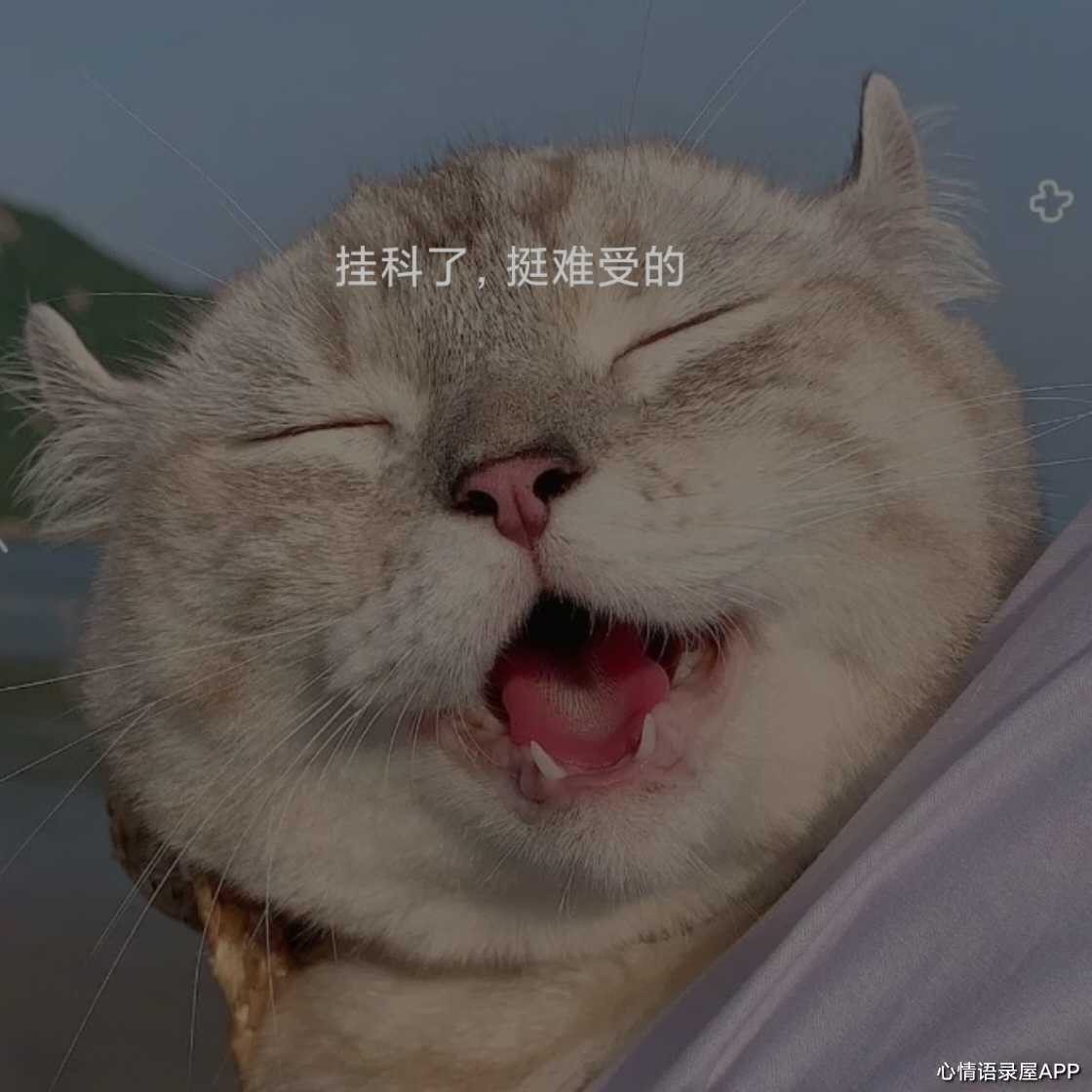 https://www.58100.com/index/detail/767274