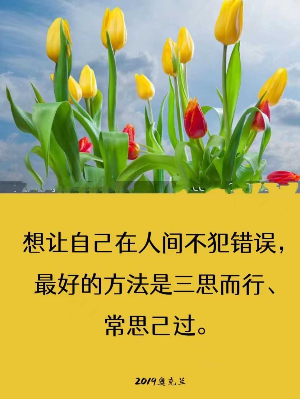https://www.58100.com/index/detail/767277