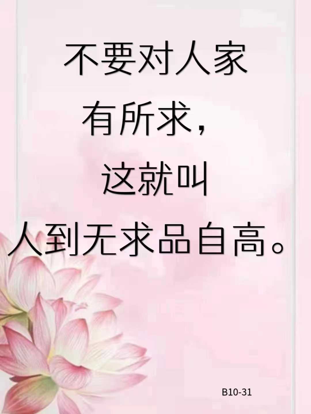 https://www.58100.com/index/detail/767290