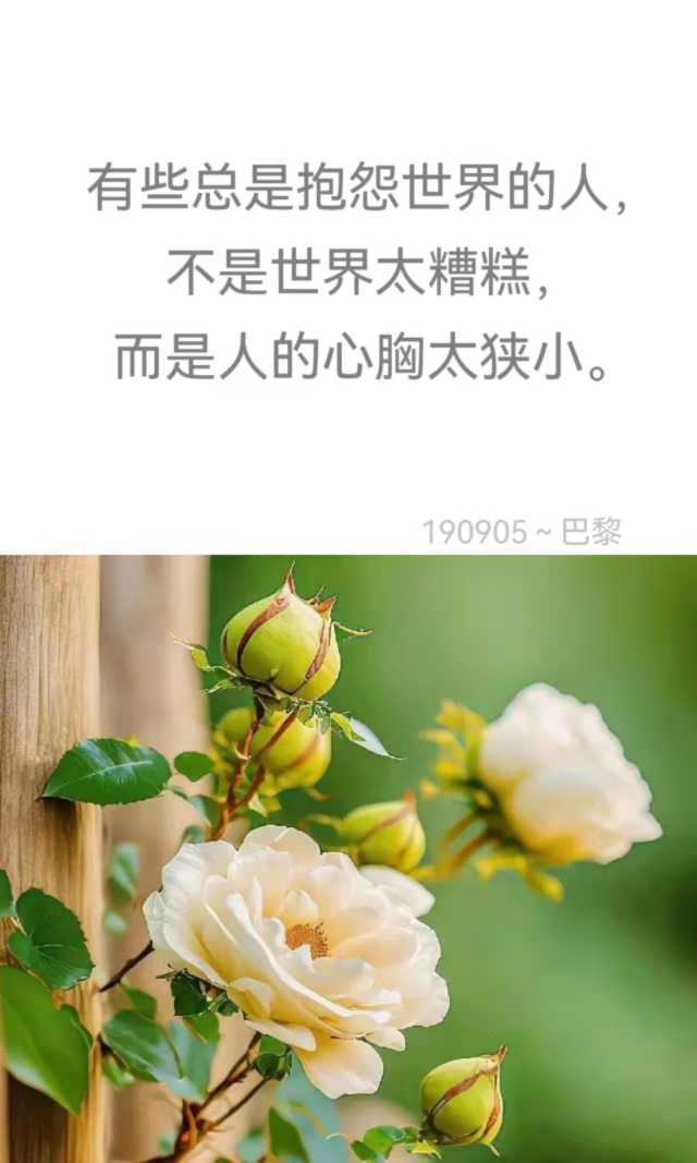 https://www.58100.com/index/detail/767302