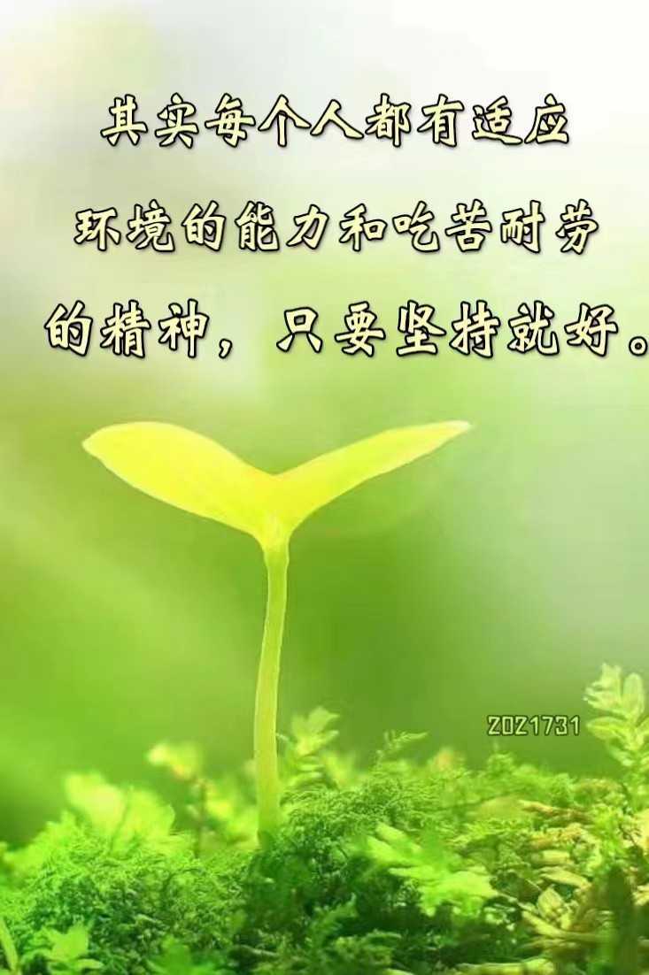 https://www.58100.com/index/detail/767309