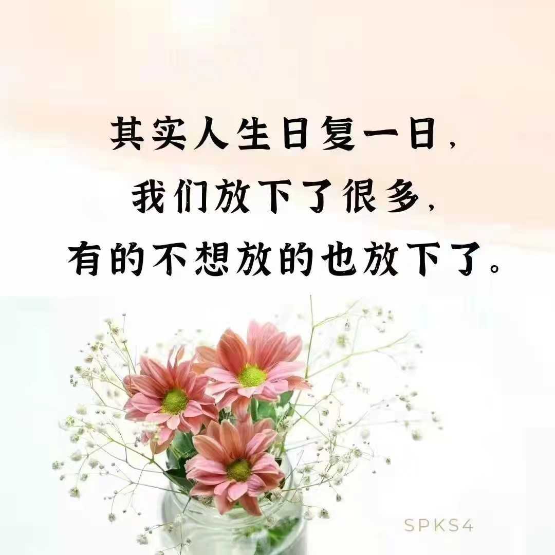 https://www.58100.com/index/detail/767324