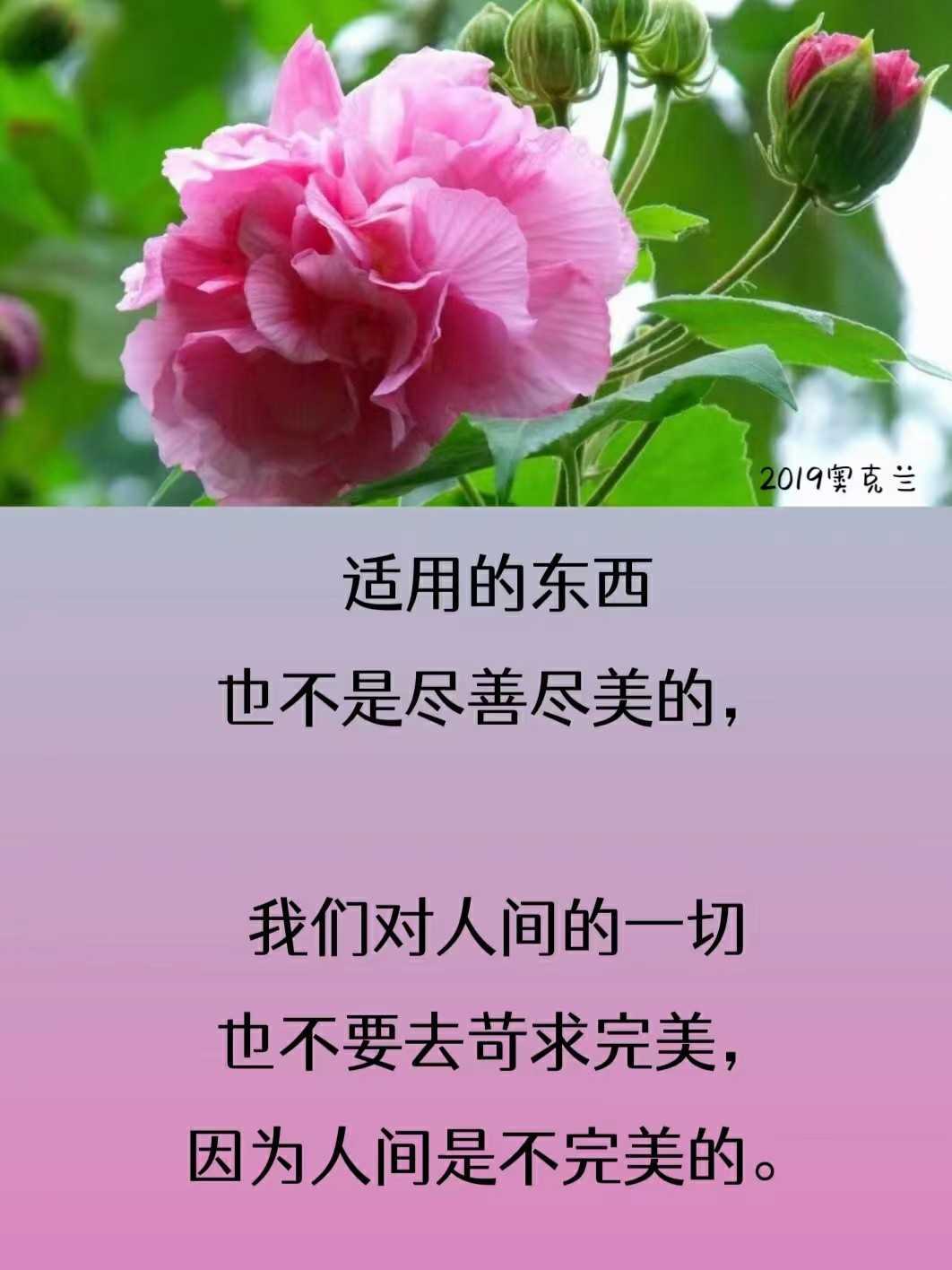 https://www.58100.com/index/detail/767336