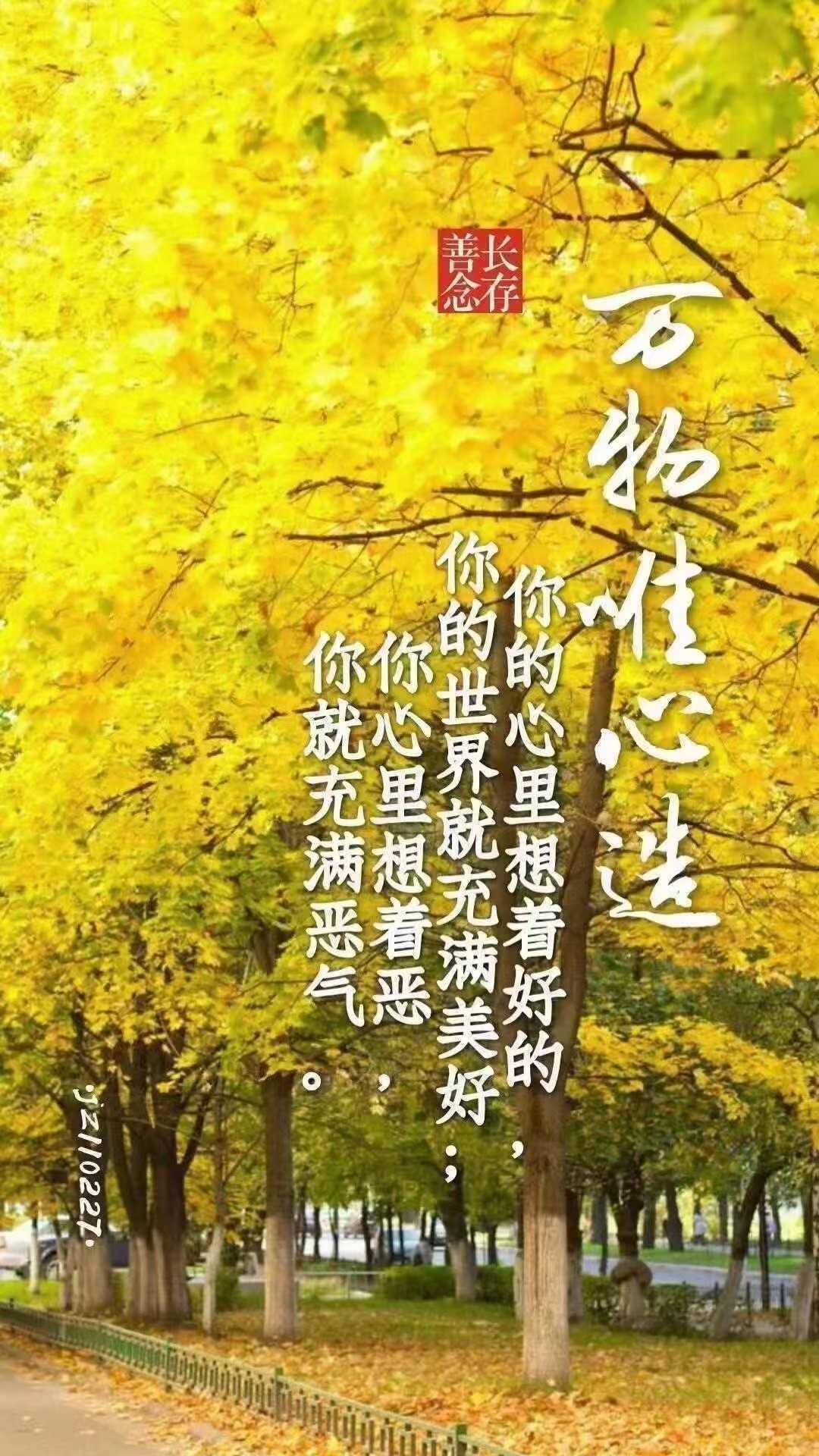 https://www.58100.com/index/detail/767361