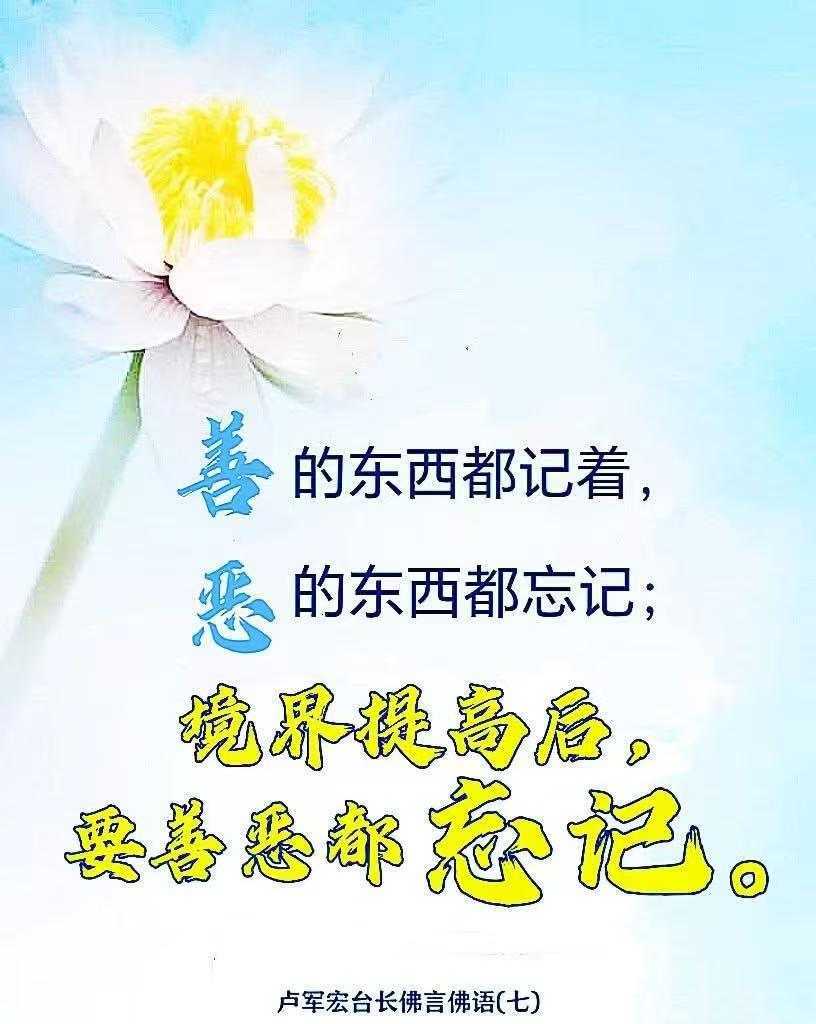https://www.58100.com/index/detail/768784